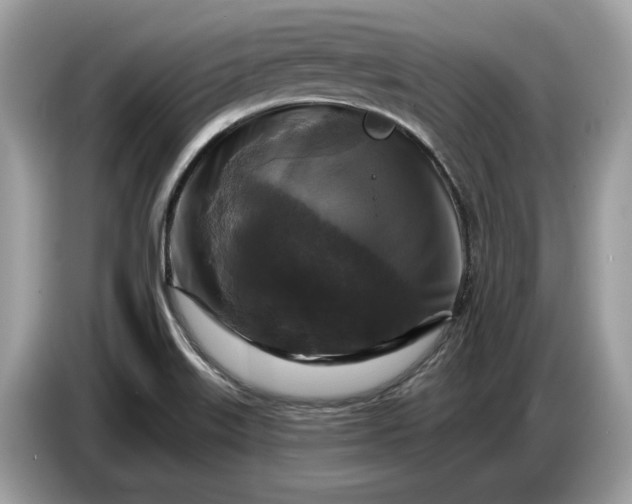 X0000086731515200704271620