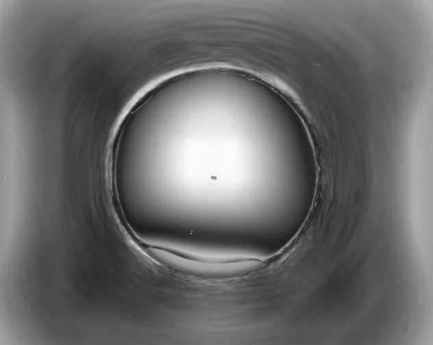 X0000086731516200704271620