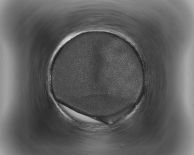 X0000086731517200704271620