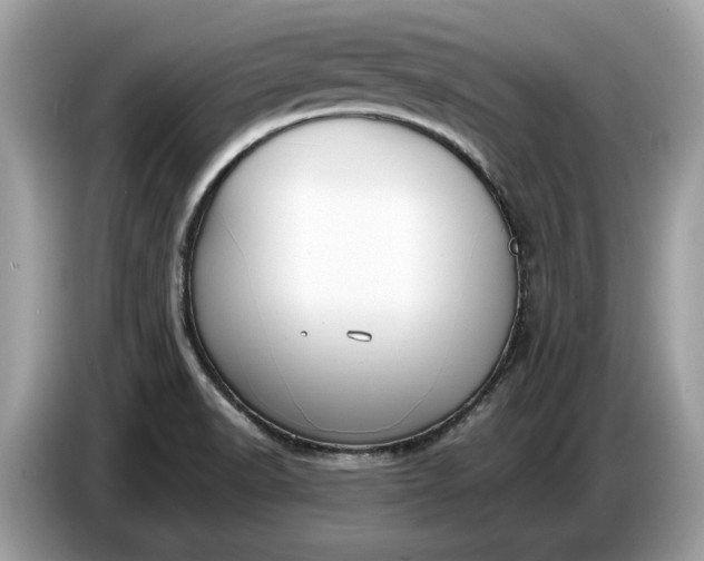 X0000086731518200704271620