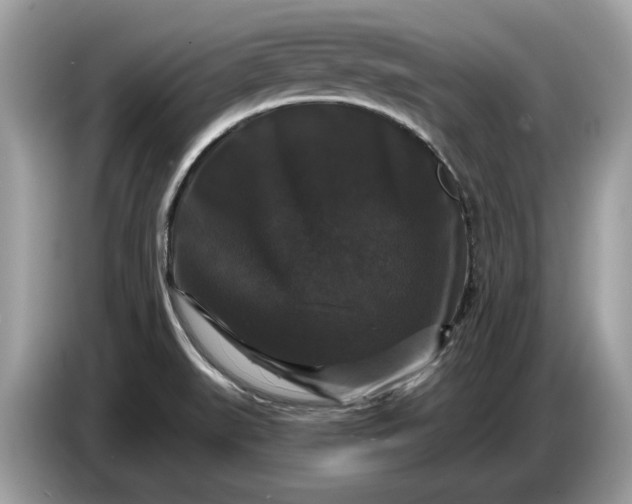 X0000086731519200704271620