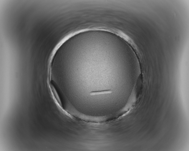 X0000086731520200704271620