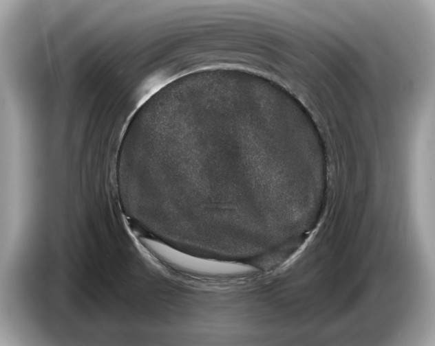 X0000086731521200704271620