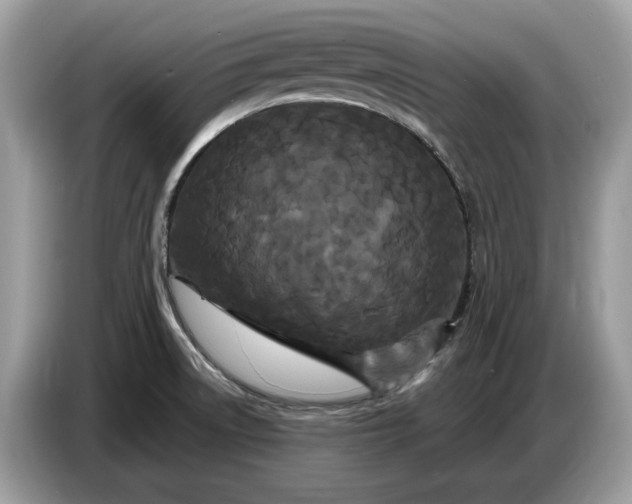 X0000086731522200704271620