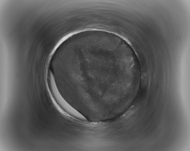 X0000086731523200704271620