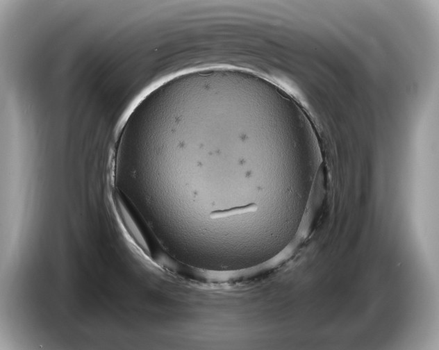 X0000086731524200704271620