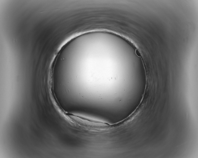 X0000086731526200704271620