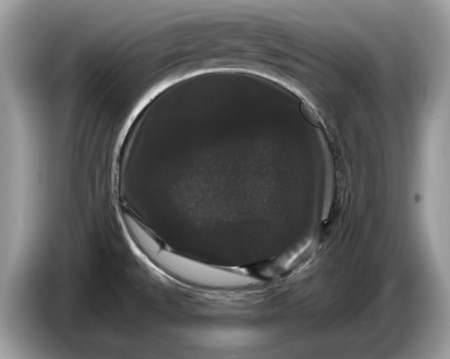 X0000086731527200704271620