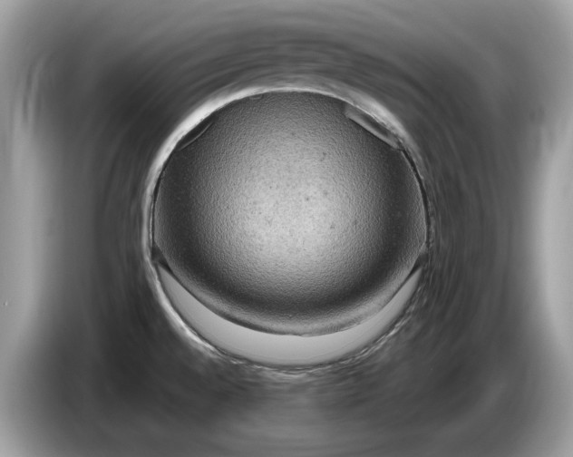 X0000086731528200704271620