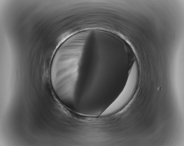 X0000086731529200704271620