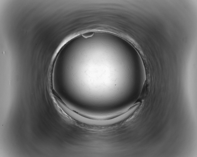 X0000086731530200704271620