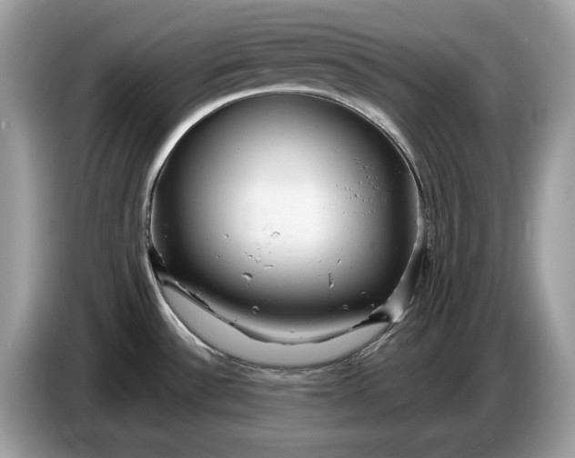 X0000086731532200704271620