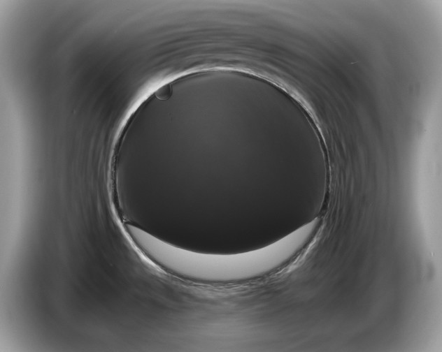 X0000086731533200704271620