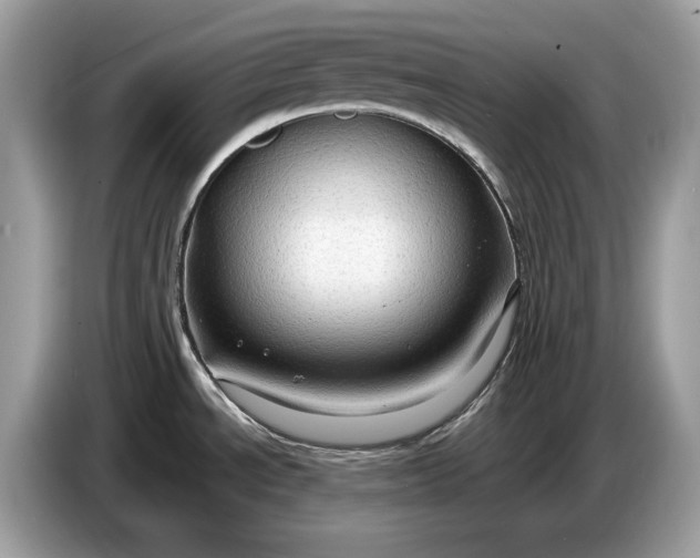 X0000086731534200704271620