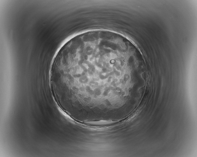 X0000086731535200704271620