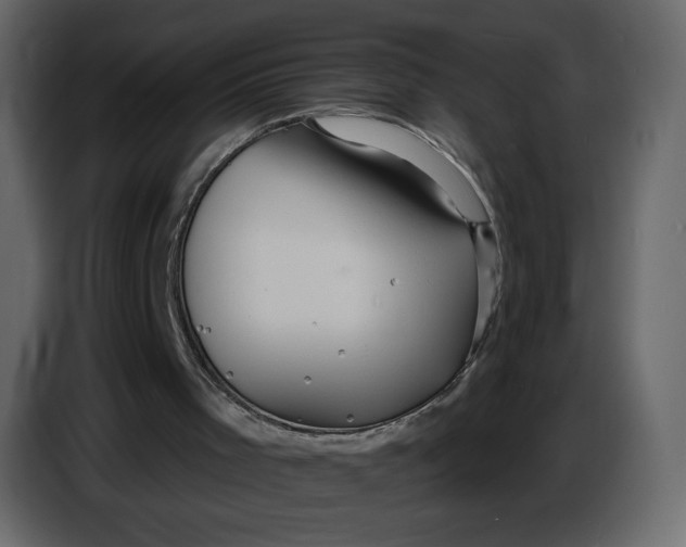 X0000086730001200705041357