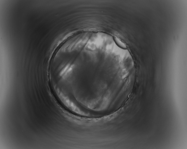 X0000086730002200705041357