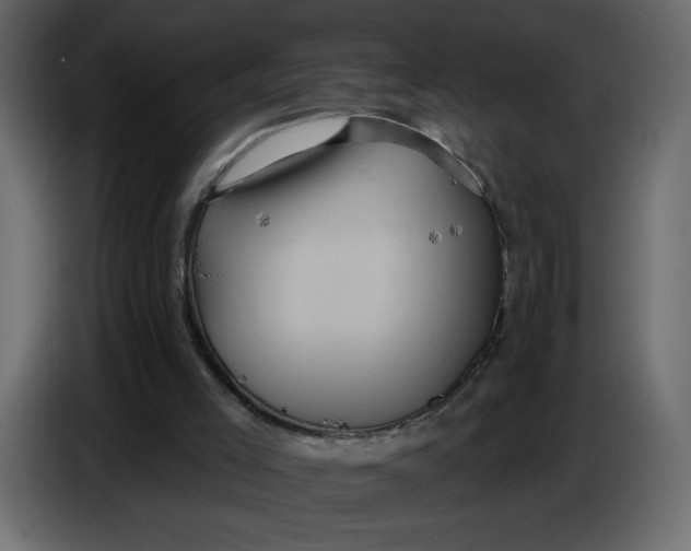 X0000086730005200705041357