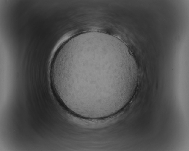 X0000086730006200705041357