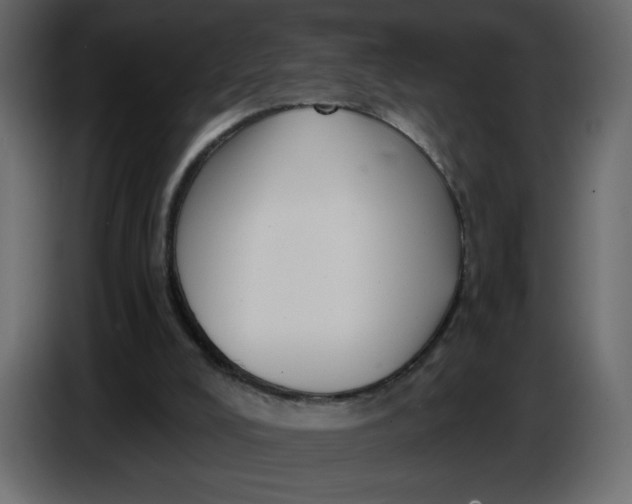 X0000086730008200705041357