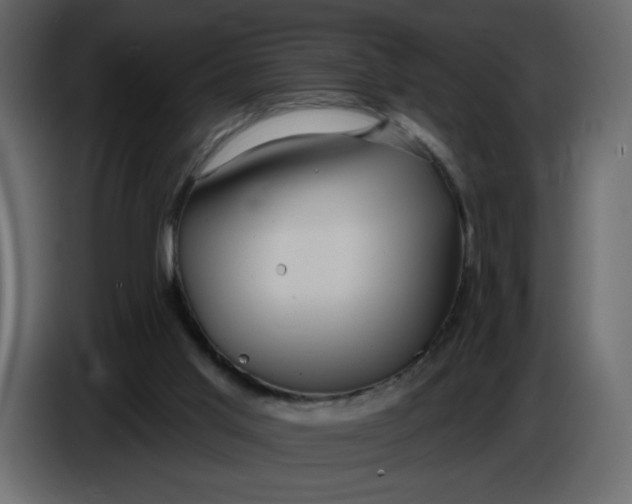 X0000086730013200705041357