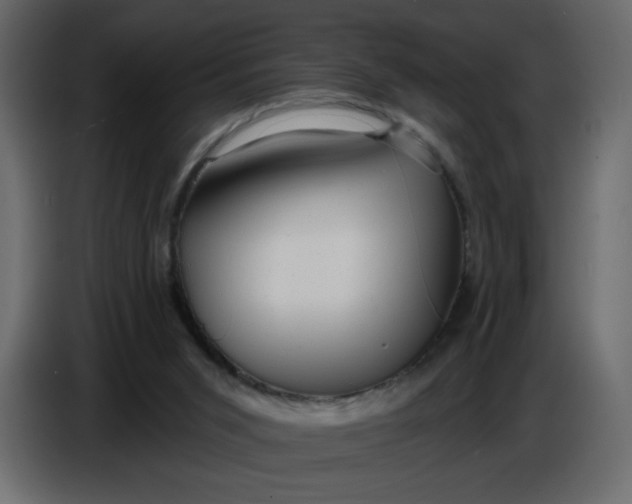 X0000086730015200705041357
