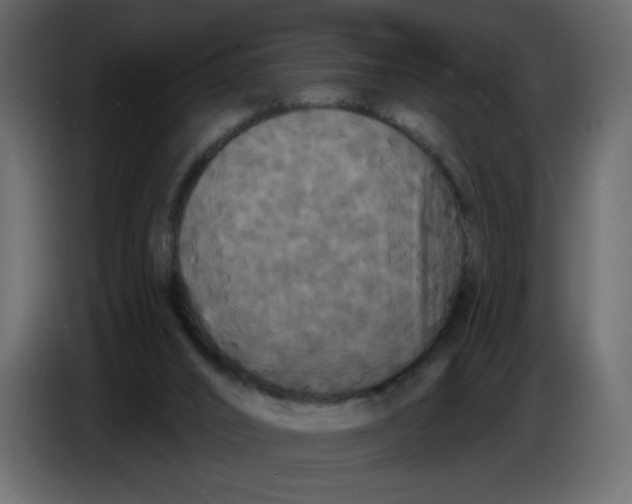 X0000086730016200705041357