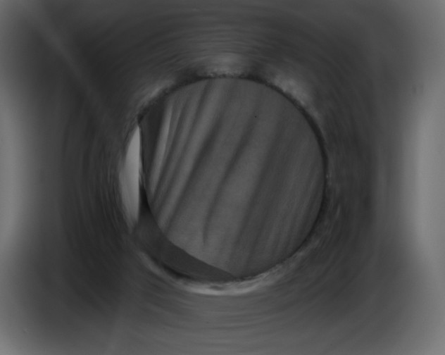 X0000086730017200705041357