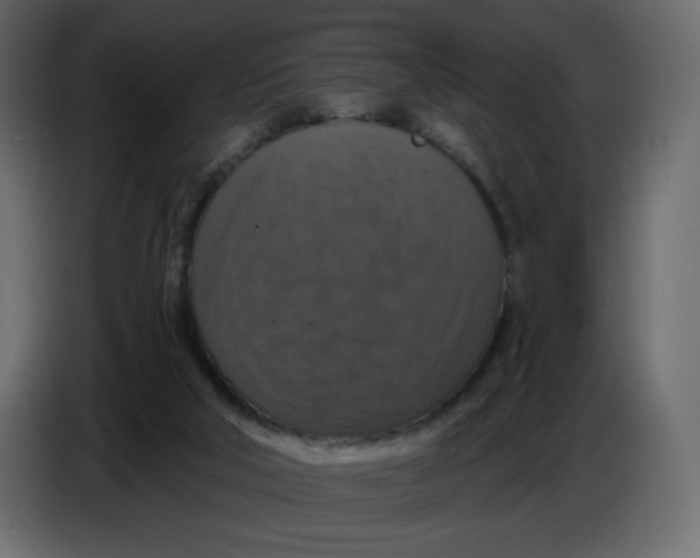 X0000086730018200705041357