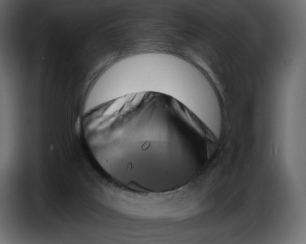 X0000086730019200705041356