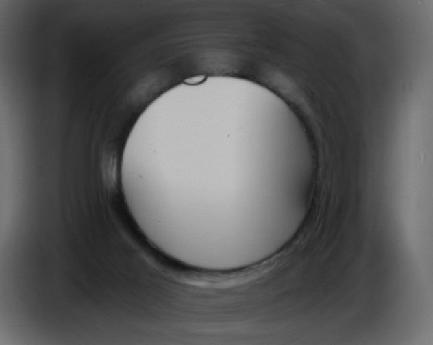 X0000086730021200705041356