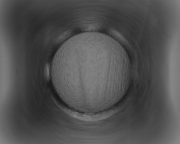 X0000086730022200705041356