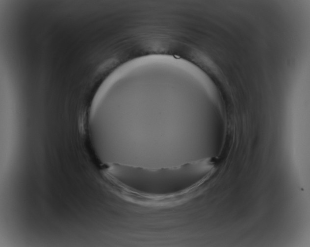 X0000086730023200705041356