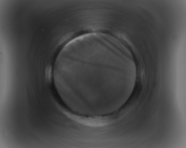 X0000086730024200705041356