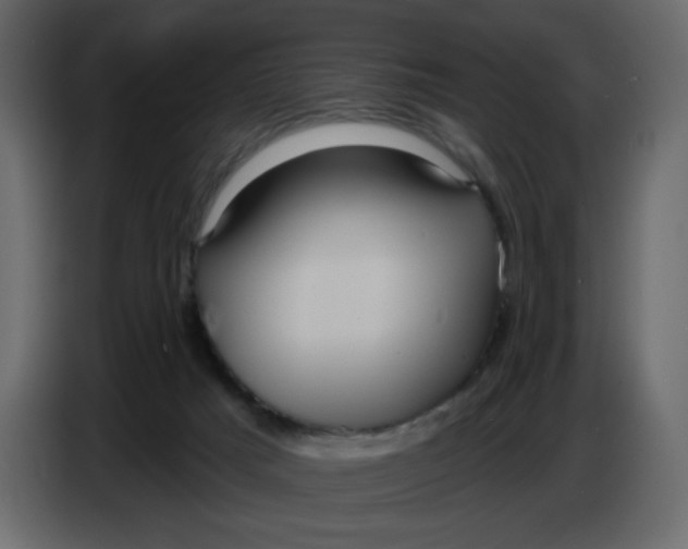 X0000086730025200705041356