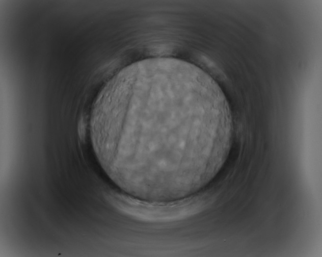 X0000086730026200705041356