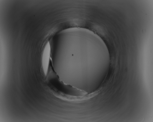 X0000086730027200705041356