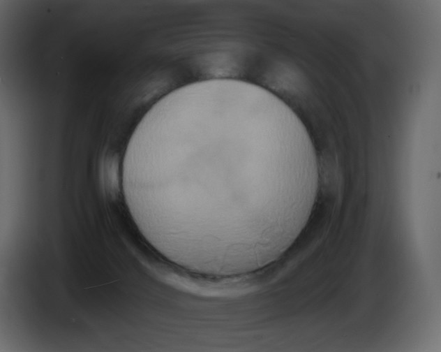X0000086730028200705041356
