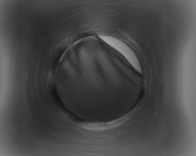 X0000086730029200705041356