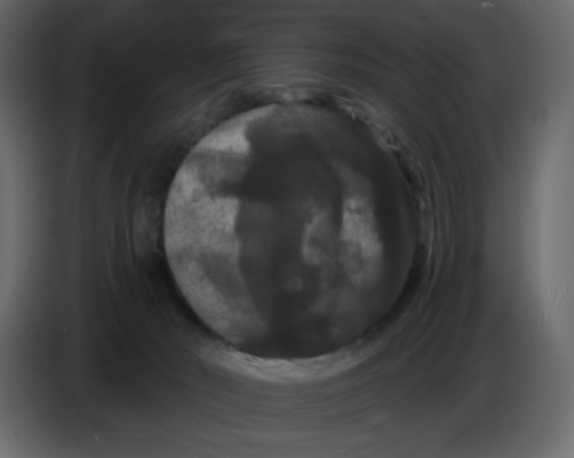 X0000086730030200705041356