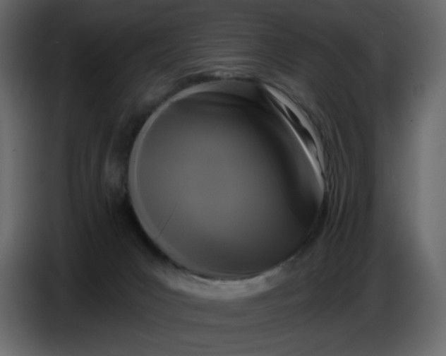 X0000086730031200705041356