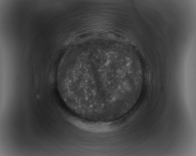 X0000086730032200705041356