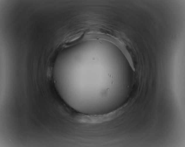 X0000086730033200705041356