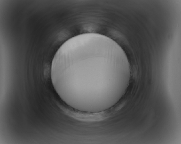 X0000086730036200705041356