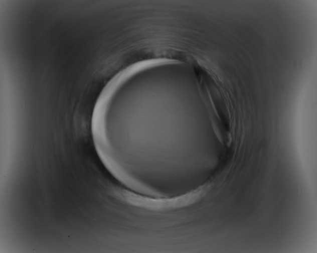X0000086730039200705041356