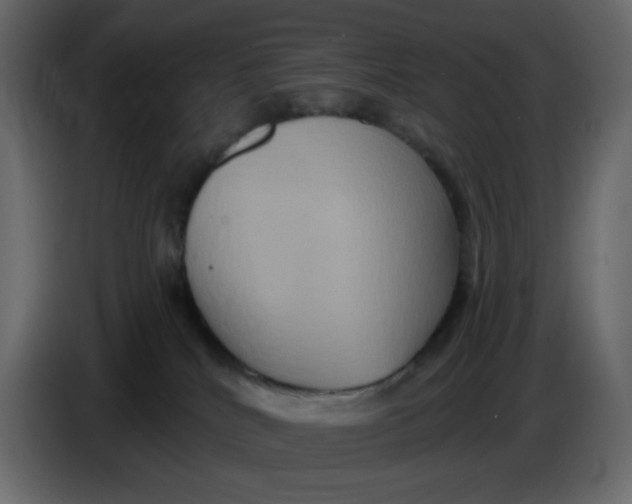 X0000086730040200705041356