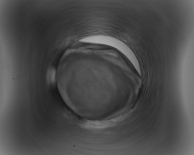 X0000086730041200705041356