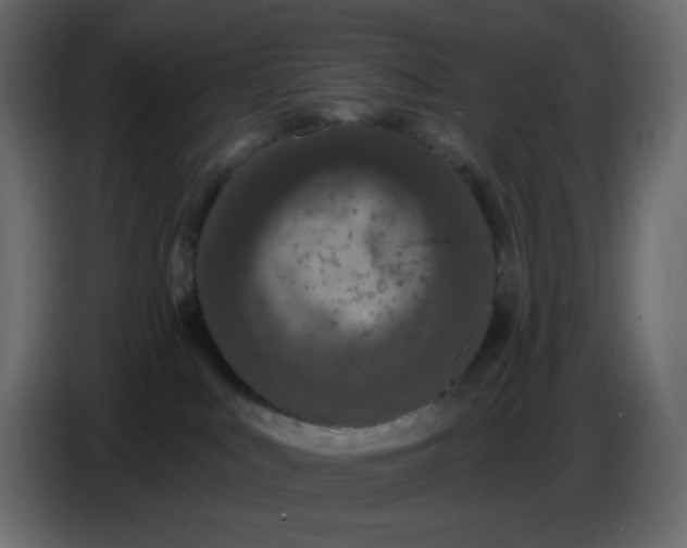 X0000086730043200705041356