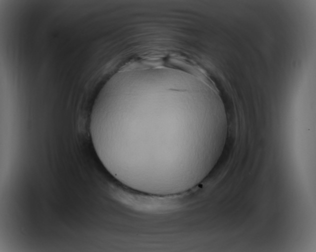 X0000086730044200705041356
