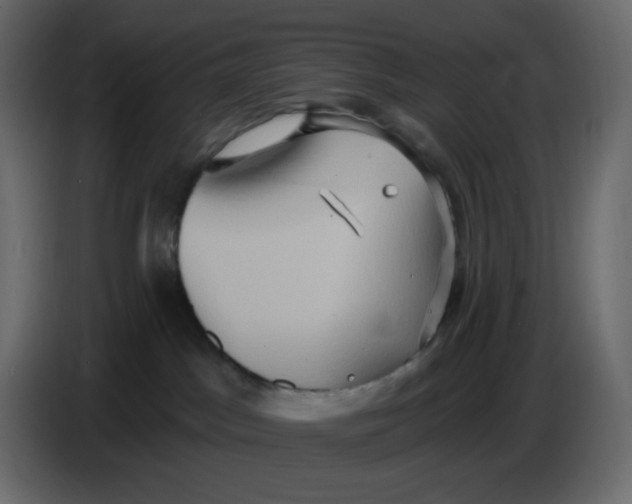 X0000086730045200705041356